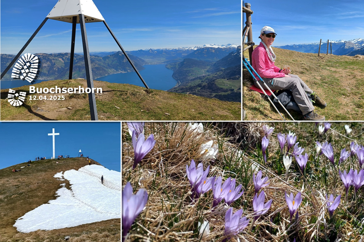 Buochserhorn