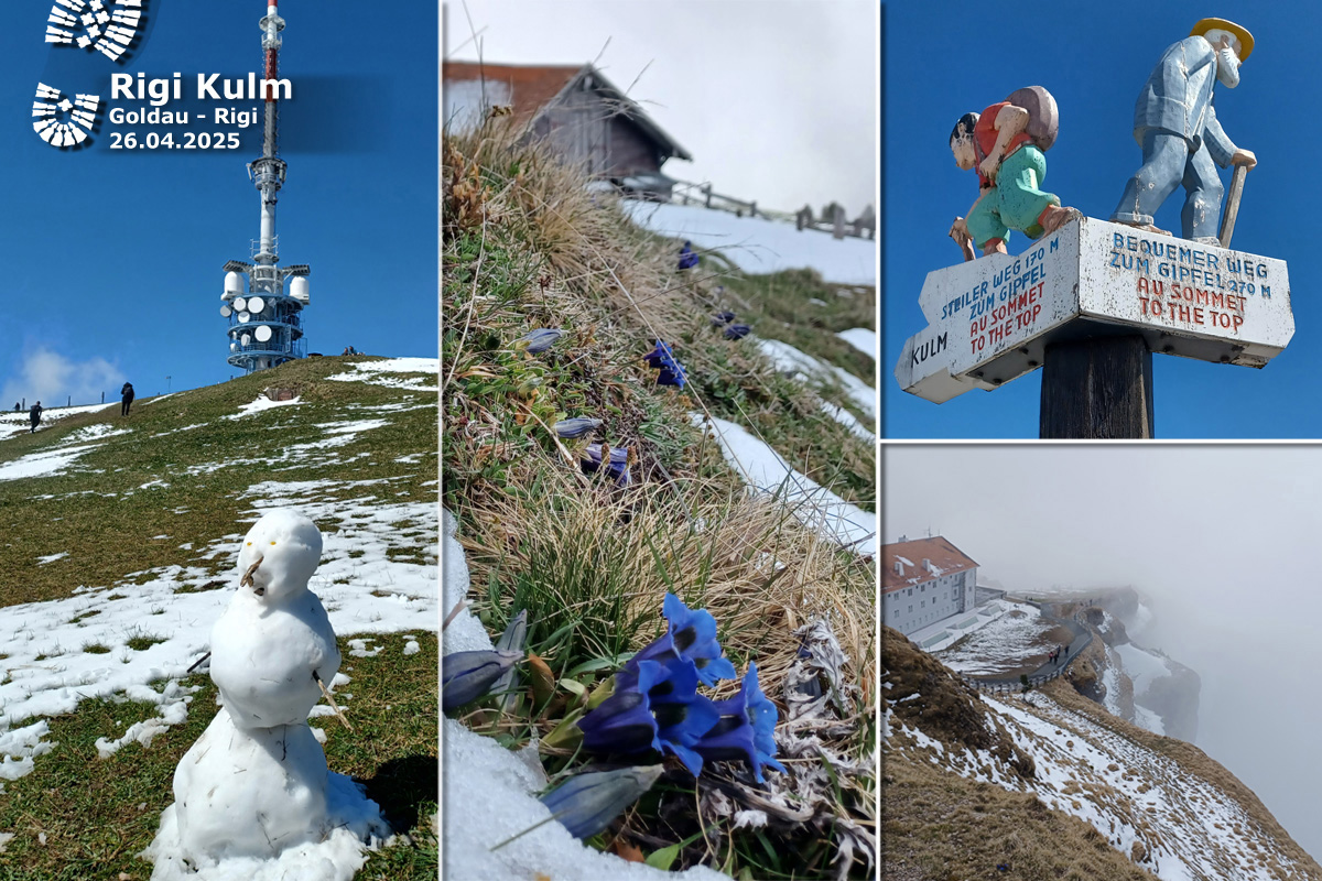 Rigi