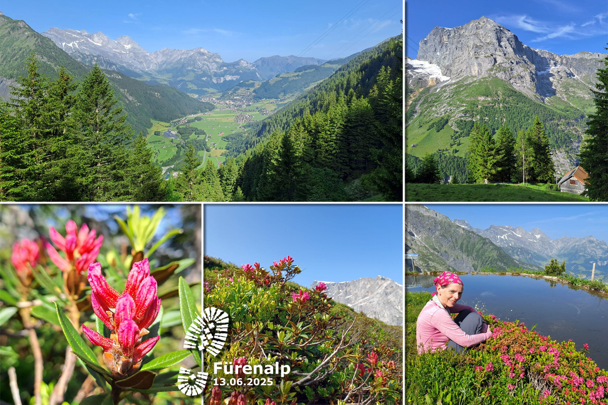 Fürenalp