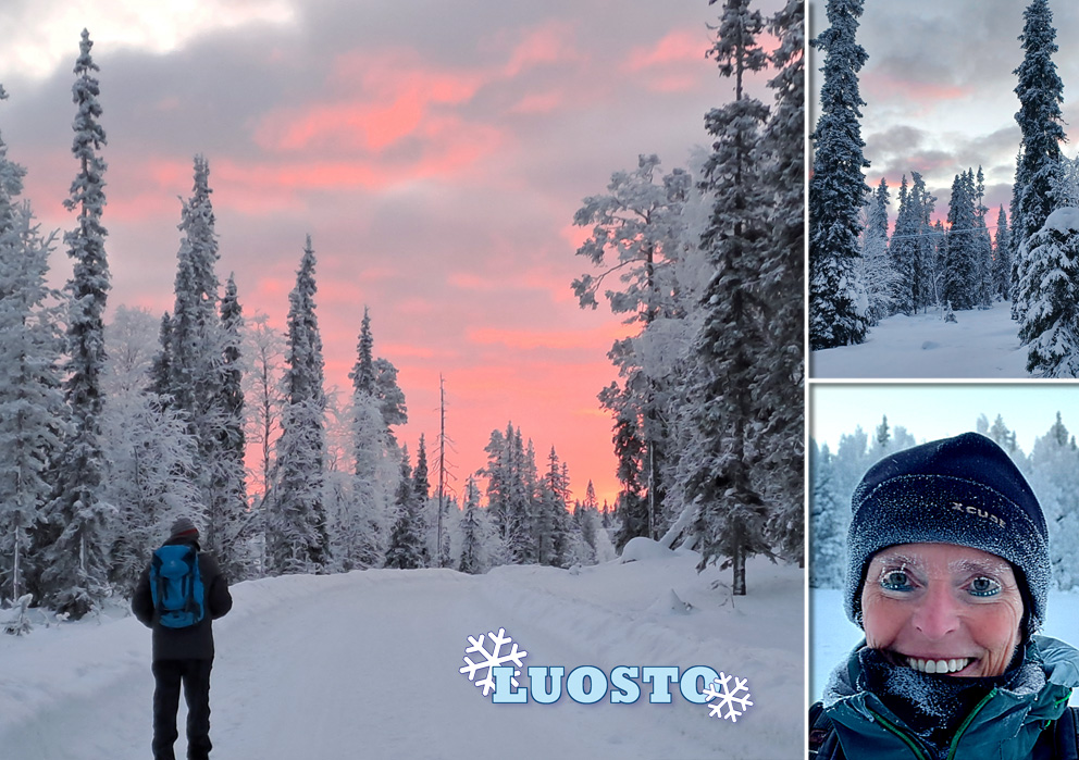 Erste Eindücke in Luosto